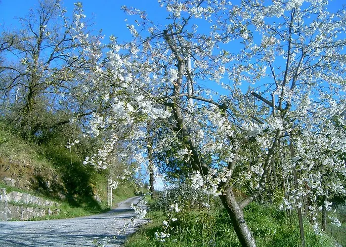 B&B Casa Rosella - Country house